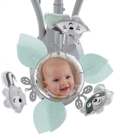 Детский укачивающий центр Fisher-Price «Мой маленький енотик» колыбель-качели для новорожденых