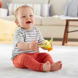 Погремушка "Удивительные зверушки" Fisher-Price (в асс.)